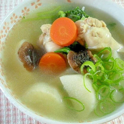 鶏手羽元の根菜スープ